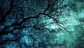 Branch & Hash Specific Options