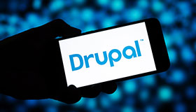 Drupal Plugin