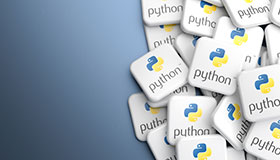 Python Usage & Configuration