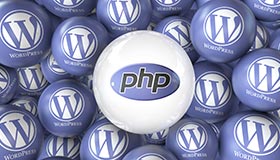 WordPress Plugin